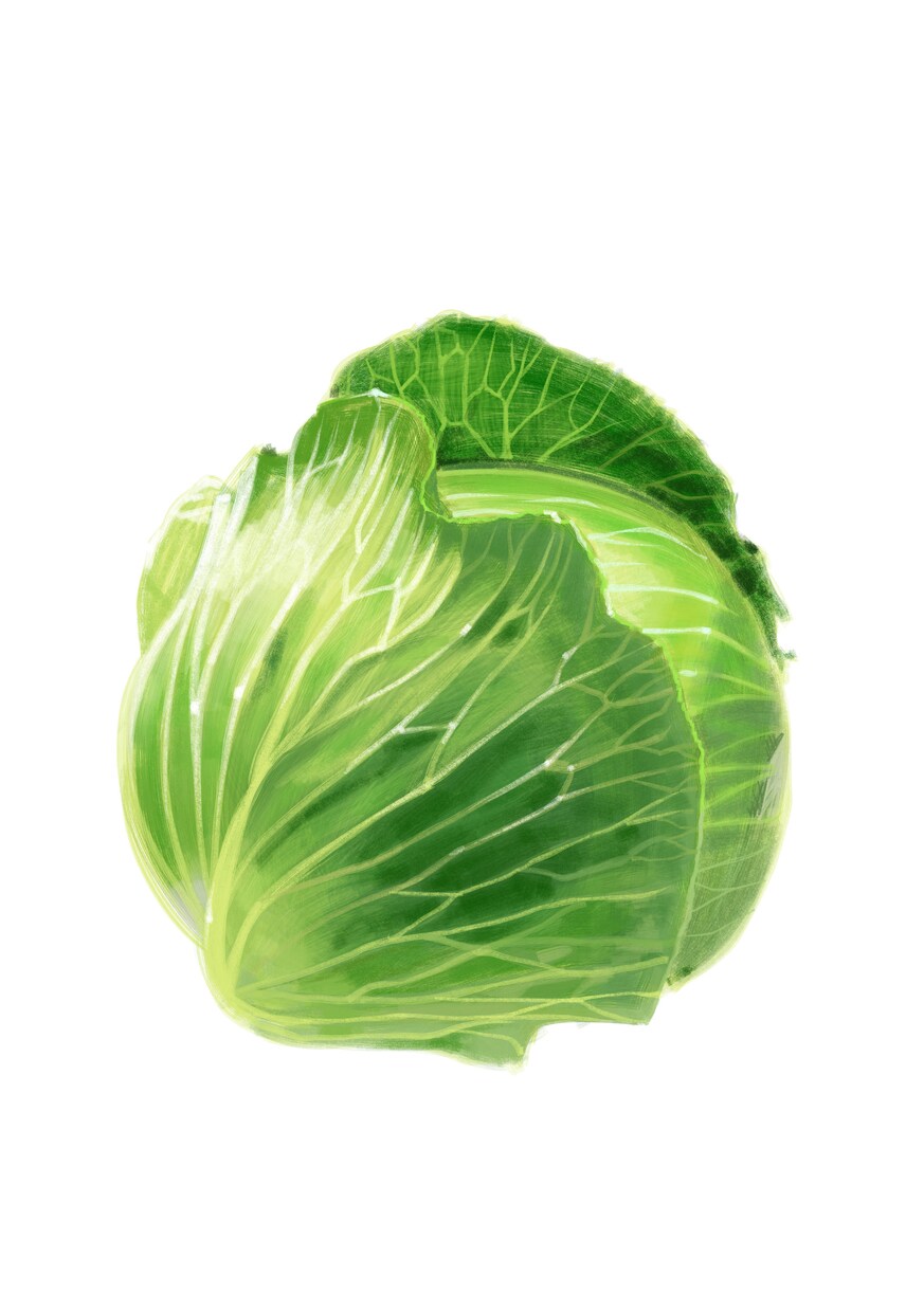 お野菜やお花の優しいアイコンお描きします 商品POPやホームページ用素材として好評です イメージ7