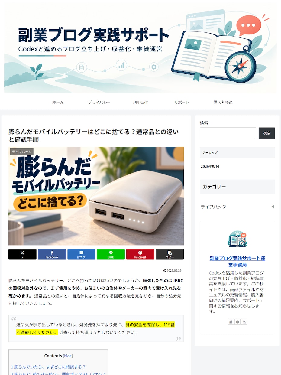 AIブログ副業したい人必見！実践セットで解決します テーマ選定から記事制作・収益化・継続運営まで イメージ8