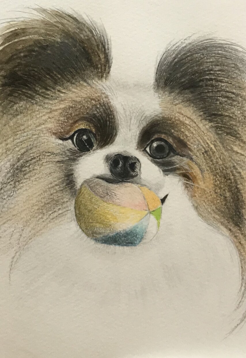 色鉛筆と水彩でペットの似顔絵を描きます 記念日のプレゼントや思い出づくりに最適です。 イメージ4