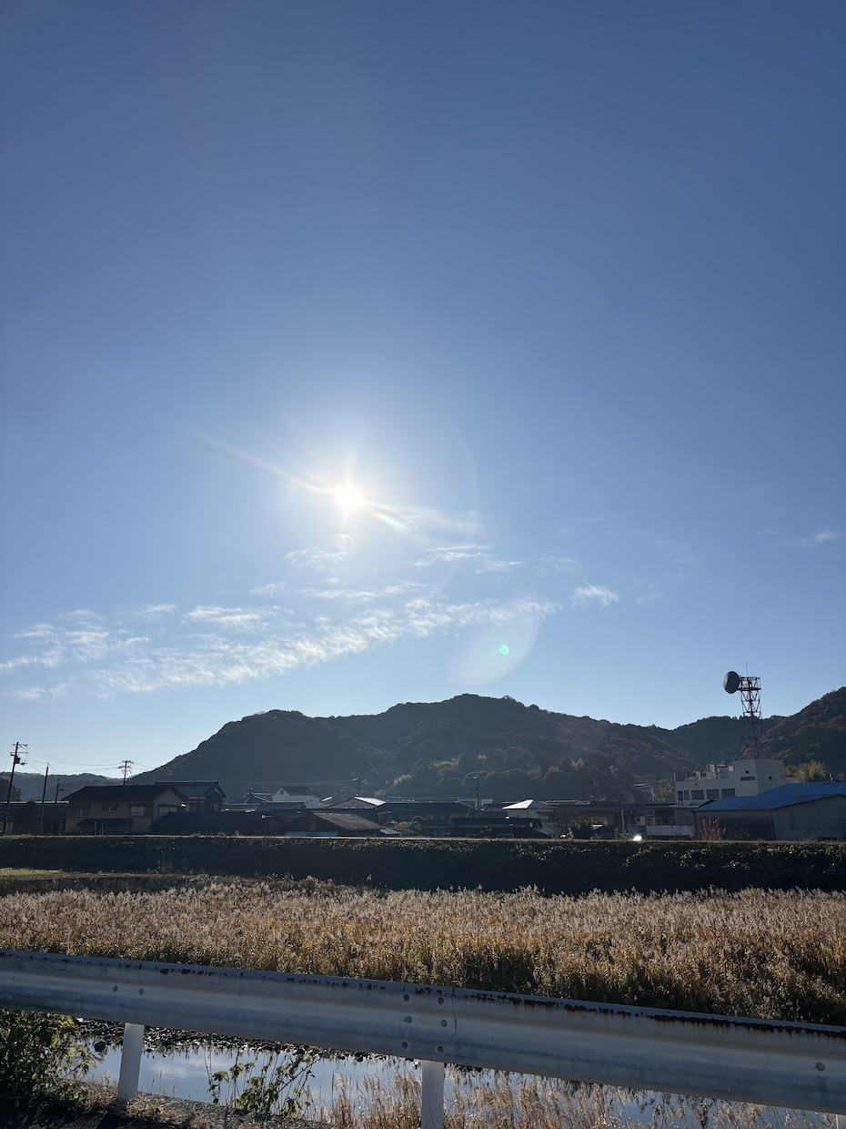 お電話で気持ちの調整役をします 誰にも相談できず、一人で不安を抱えてしんどい方へ イメージ2