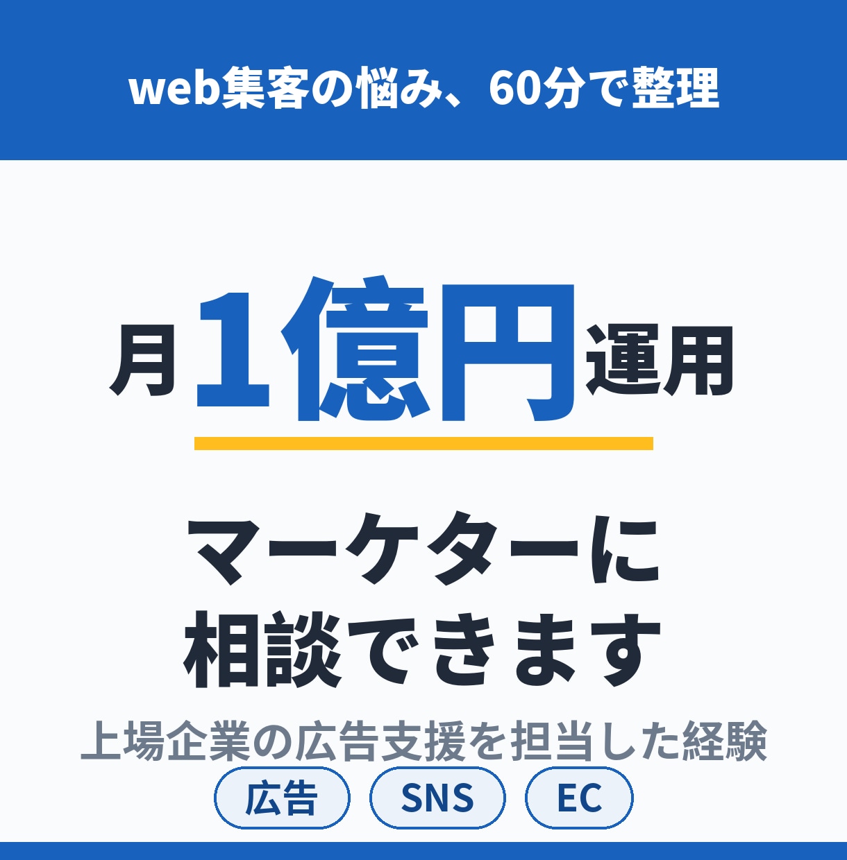 月1億円運用マーケターがweb集客の相談に乗ります 上場企業の広告支援経験者が、あなたの事業の集客を60分で整理 イメージ1