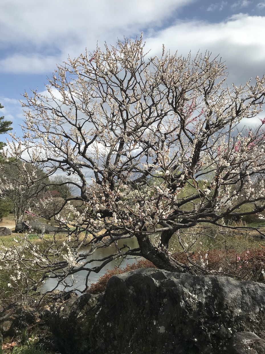 現役の大学生の立場から悩み相談に乗ります 悩みがある人、相談相手になります イメージ1