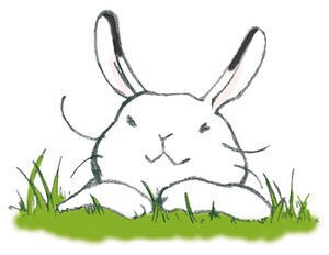 8/14まで限定・30分¥500で英会話します 初心者から初中級くらいの方までで、英語で話す時間が欲しい方！ イメージ1