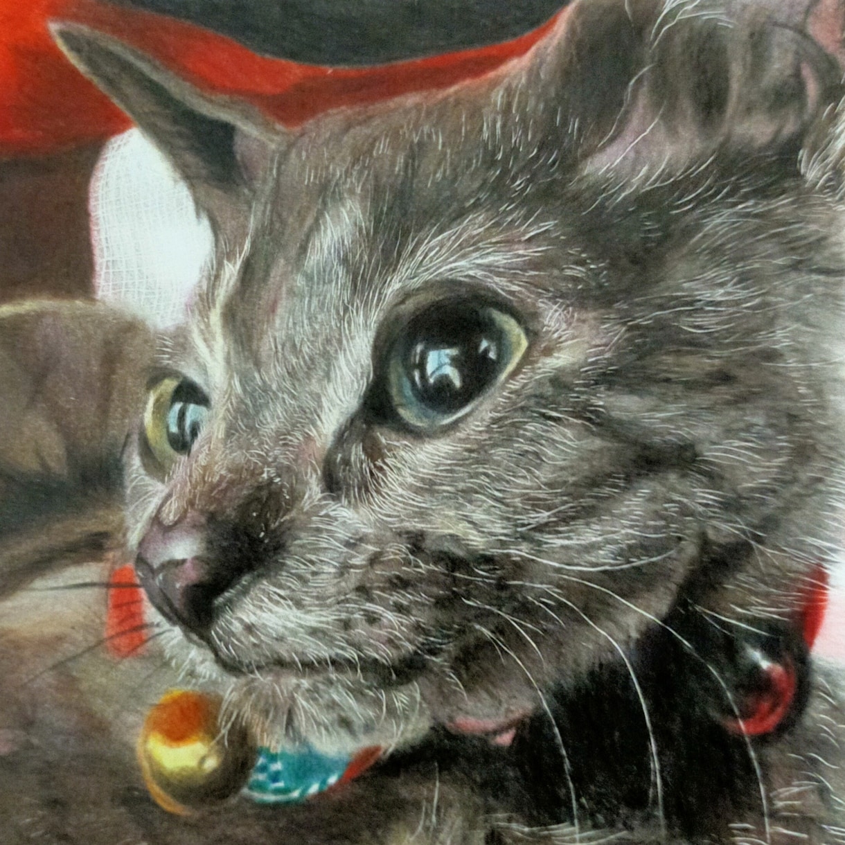 色鉛筆でリアルな動物を描きます 動物園取材×解剖学ベース、毛並み一本まで描き込む本格派 イメージ4