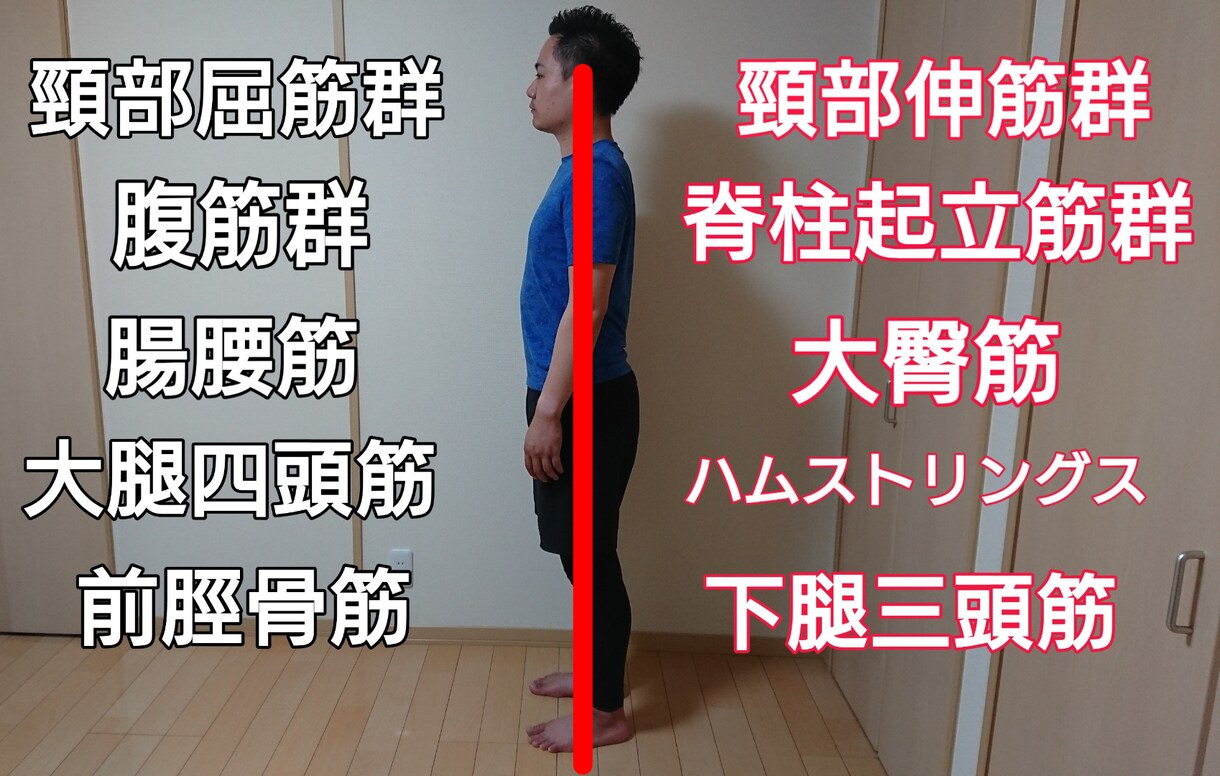 痛みを減らす為に！あなたの姿勢を分析します 姿勢を分析し、改善点まで丁寧にお伝えします イメージ1