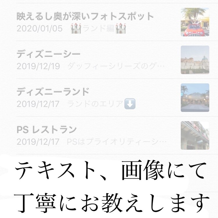 ディズニーの思い出を幸せなものにします 1人ディズニー経験者が最適なプランをお届けします！ イメージ4