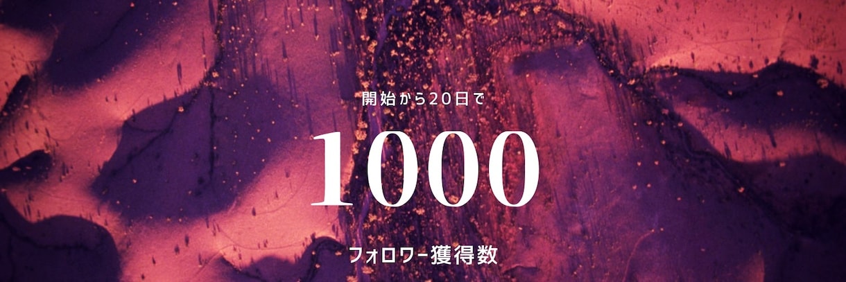 Twitterコンサルであなたの運用加速させます 20日でフォロワー1000名を達成した僕のノウハウ授けます イメージ1