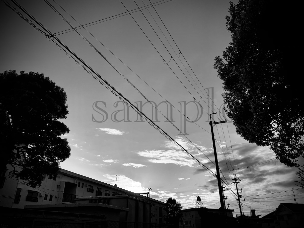 あなたの撮った写真をモノクロにします ポートレイトや風景写真、ペットの写真など普段と違った印象に イメージ2