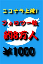 圧倒的コスパ!　Twitter約8万人に宣伝します 宣伝･集客･告知 etc... イメージ1