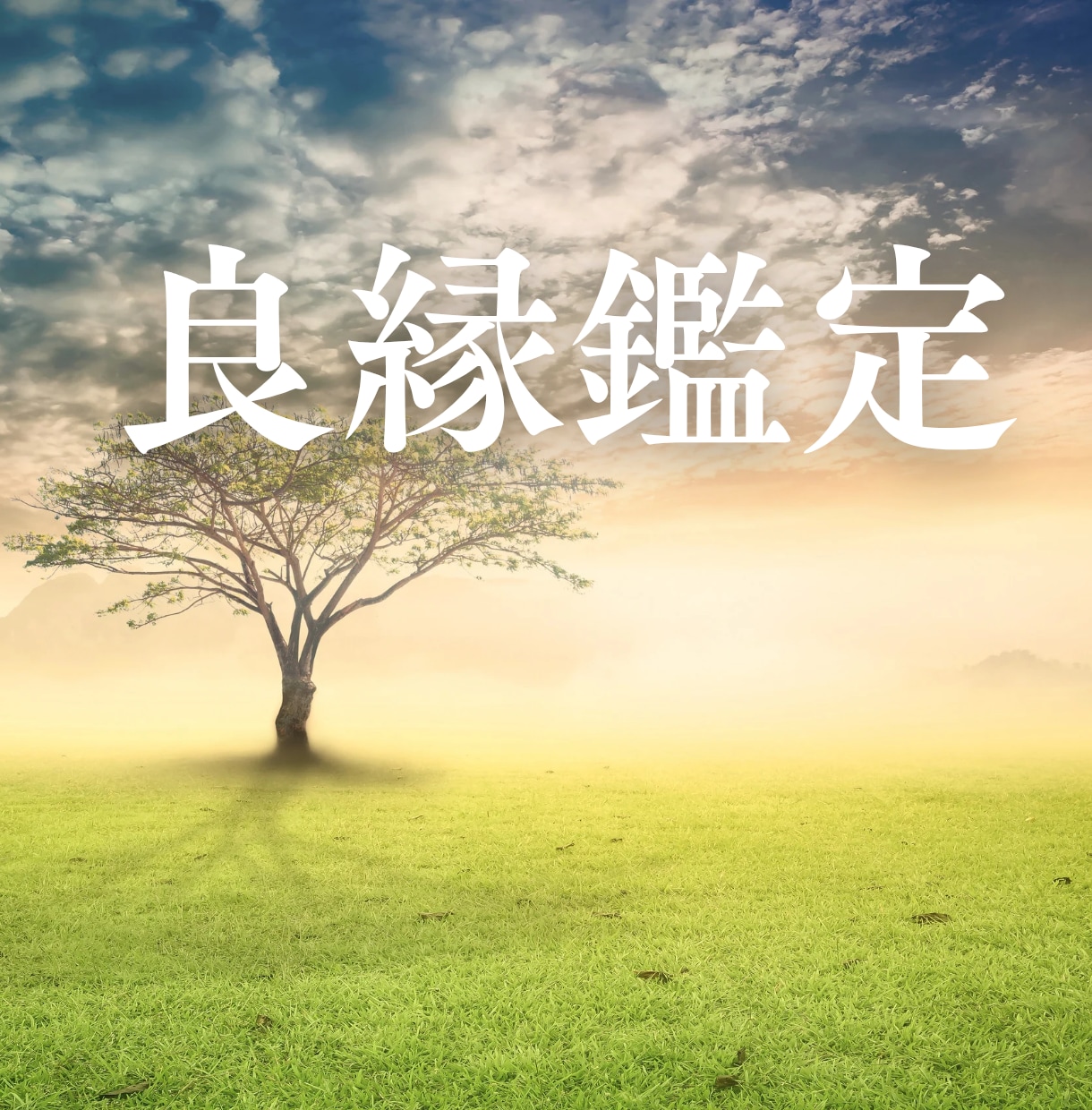 初回限定｜いつ、どんな人と良縁があるか鑑定します 恋愛・結婚・人間関係の”ご縁”を深く読み解きます イメージ1