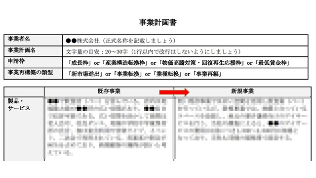 事業再構築補助金の事業計画書記載例をご提供します これで事業計画書１ページ目と収益計画がわかる！ イメージ4