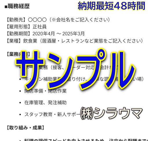 1枚3000円で職務経歴書を作成代行します とりあえず提出できる職務経歴書を作成代行します！ イメージ2