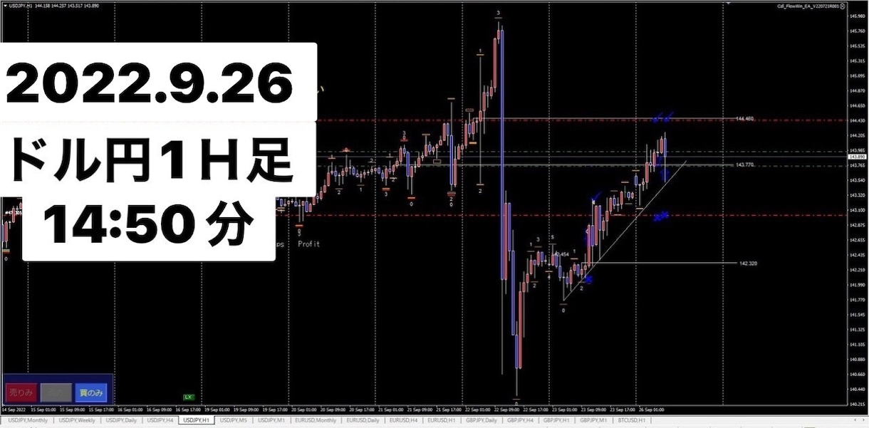 FX ドル円テキスト&ツールを販売します 実績はYouTubeを見て下さい！ イメージ3