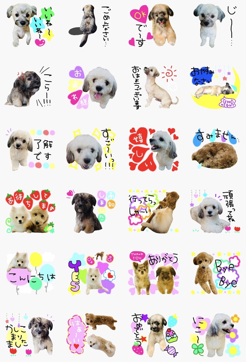お子様、カップル、ペット、LINEスタンプ作ります リピーターして頂いても絶対に同じデザインでは作りません！ イメージ5