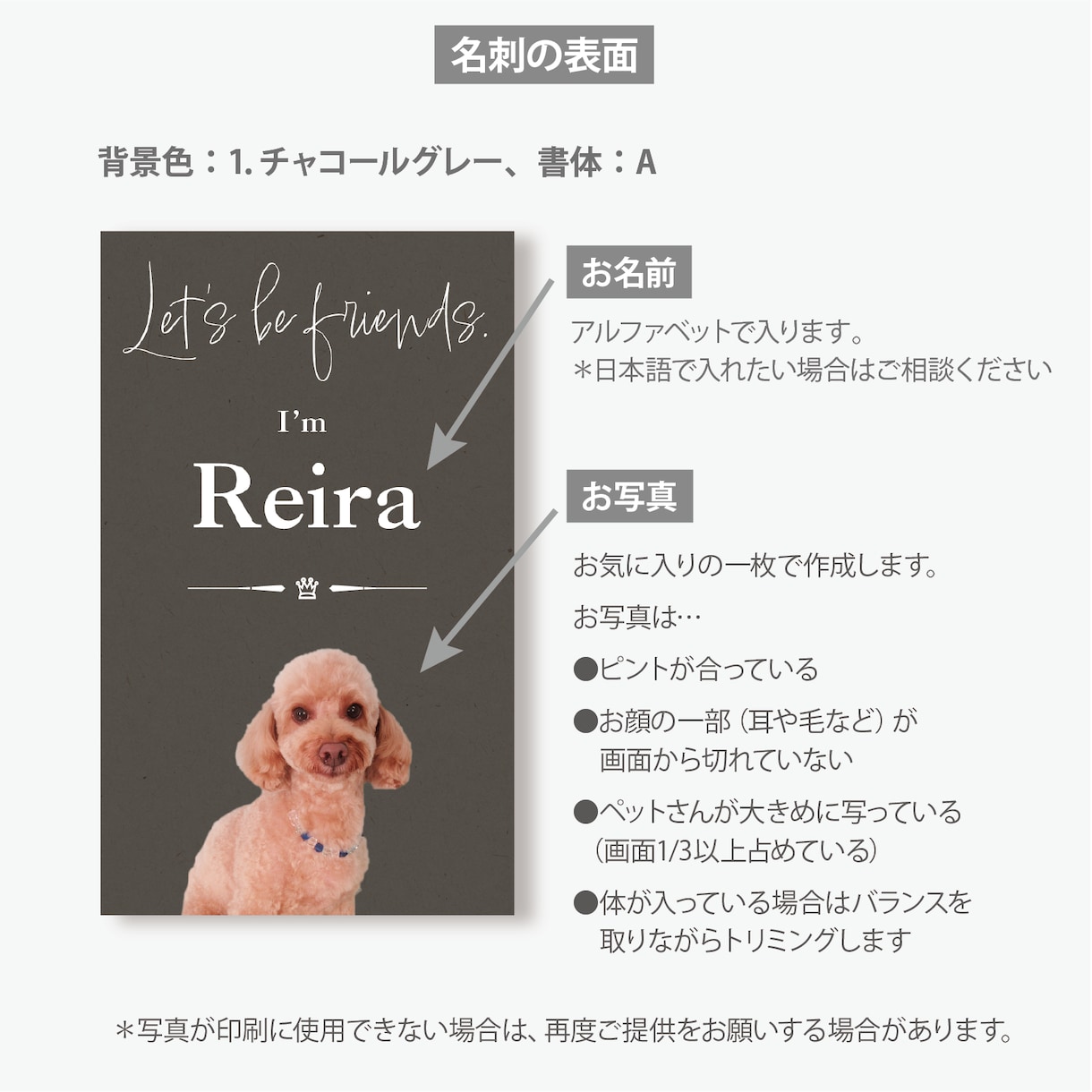 写真入りでペット名刺をシンプルデザインで作ります デザイナーへのセミオーダー！両面印刷100枚　送料無料 イメージ2