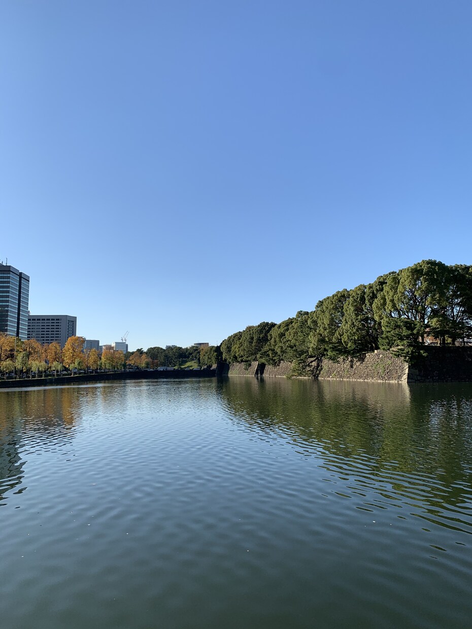 失敗した副業の話、販売します あなたが副業に失敗しない為に！聞くだけで、リスクを減らせます イメージ1