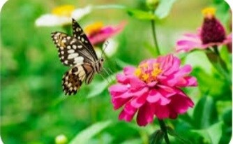 小さいこともお話しください。心から寄り添います 否定なし、説教なし、あなたを全肯定！ イメージ2