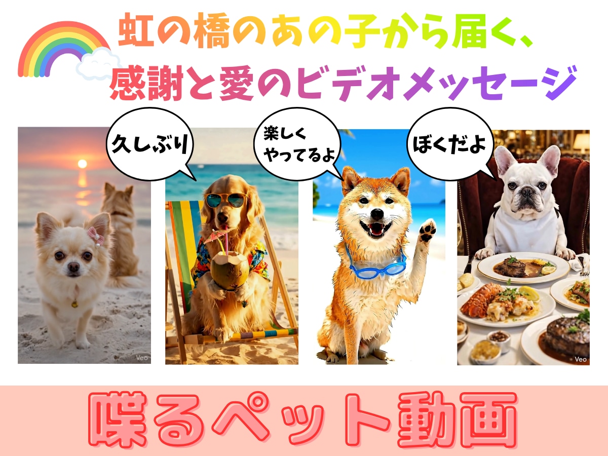 ペットが喋る、動くAIペット動画制作します 写真と台本だけ。大切なペットが表情豊かにメッセージを届けます イメージ4