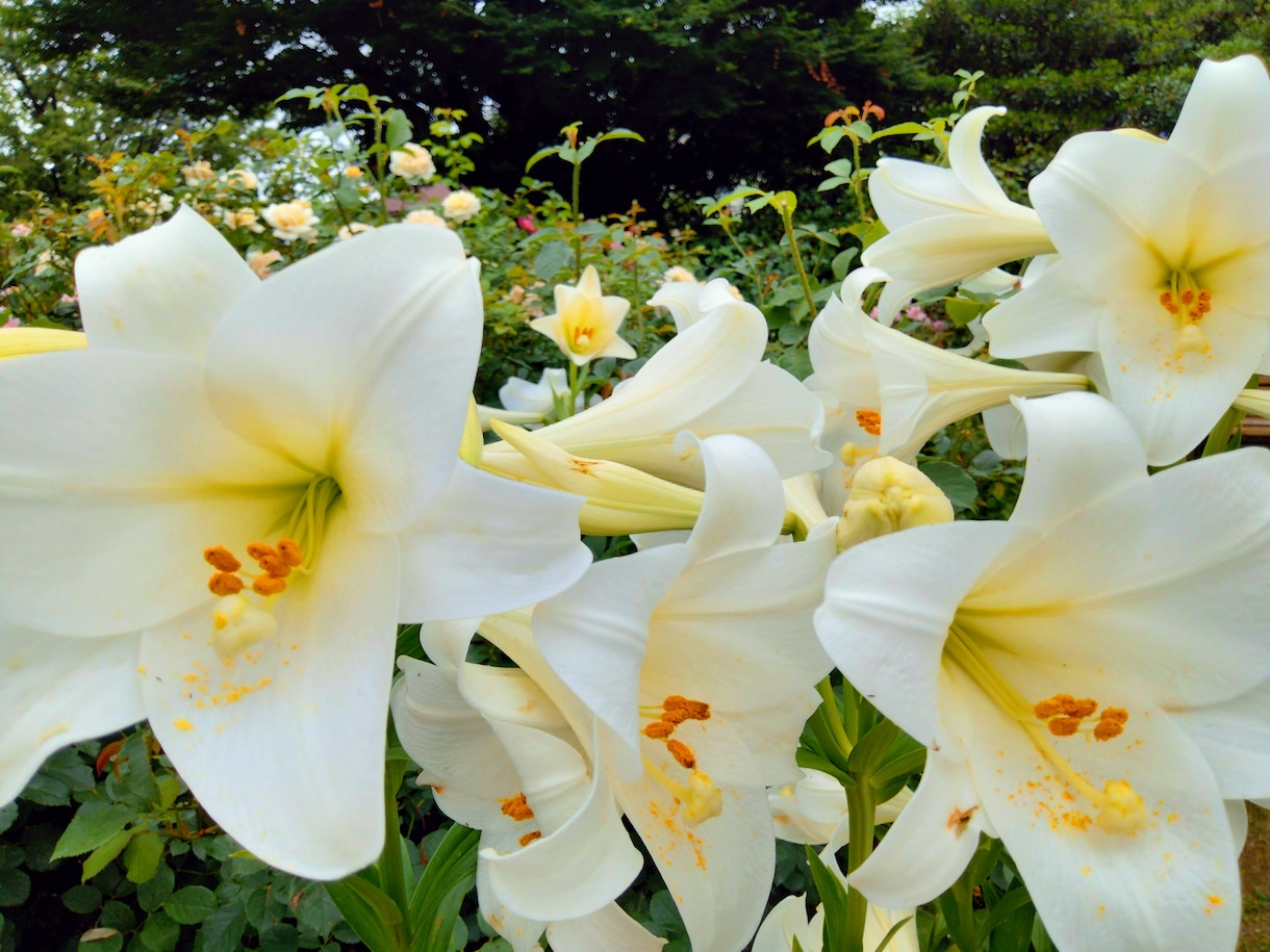 子育てで悩んでいるあなたにアドバイスします カウンセリング歴20年の公認心理師があなたの味方になります。 イメージ1