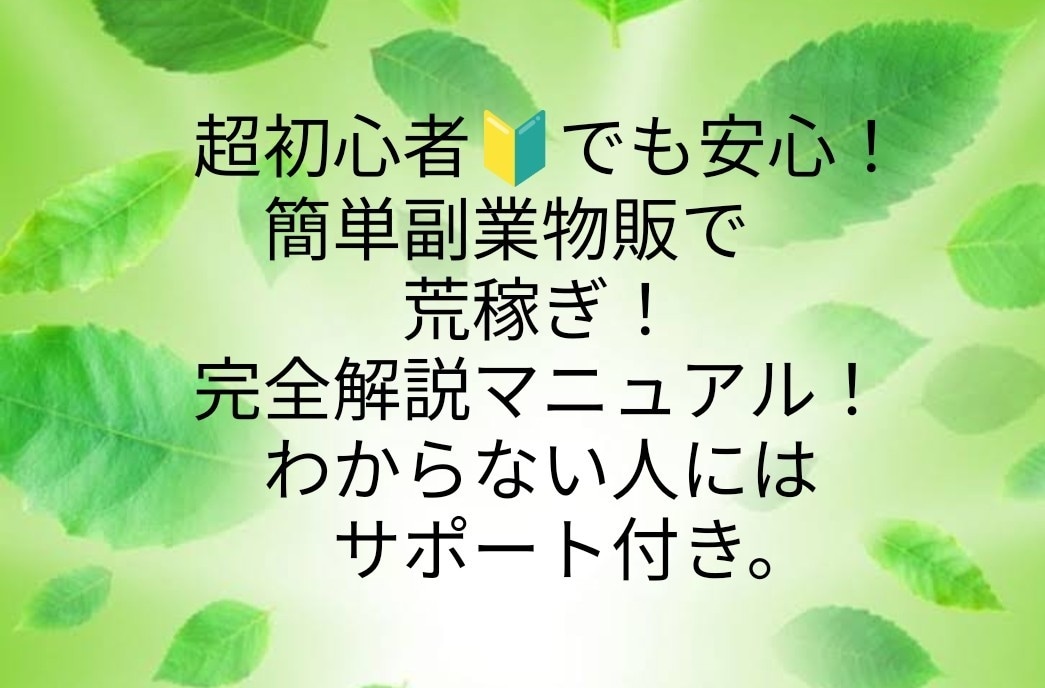 超初心者向け！簡単副業物販で荒稼ぎします 超めんどくさがりですぐ結果を出したい人向けノウハウです！ イメージ1
