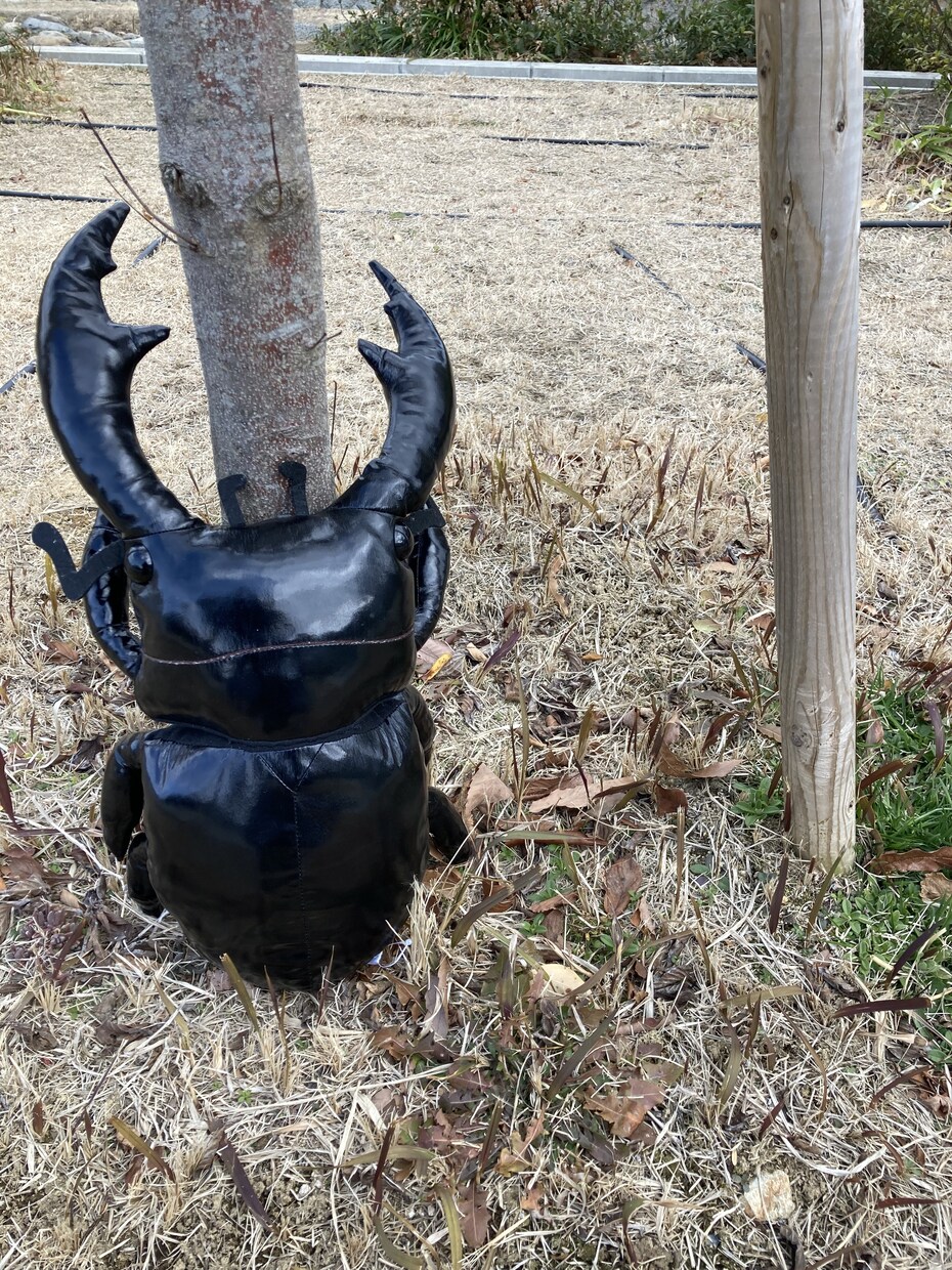 悩み愚痴なんでも聞きます クワガタ虫のテコの原理の要領で　マイナスからプラスへ イメージ2