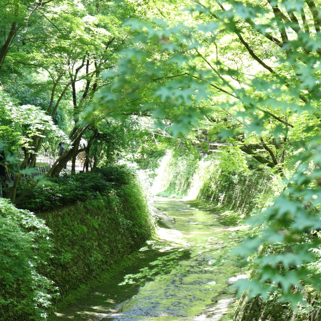 受験・就活・資格試験・合格の可能性と未来を占います 【学業運】中高大受験｜就活｜資格試験｜本番結果までの運勢表付 イメージ3