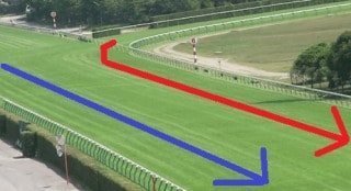 全力投球！アイビスの日のレース全レース予想します 年に一度の新潟祭典レースを盛り上げましょう！ イメージ3