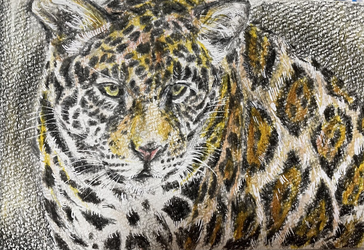 年賀状にも！色鉛筆で動物の絵を描きます 世界でたった一つだけ！動物の可愛い表情を生き生きと描きます イメージ8