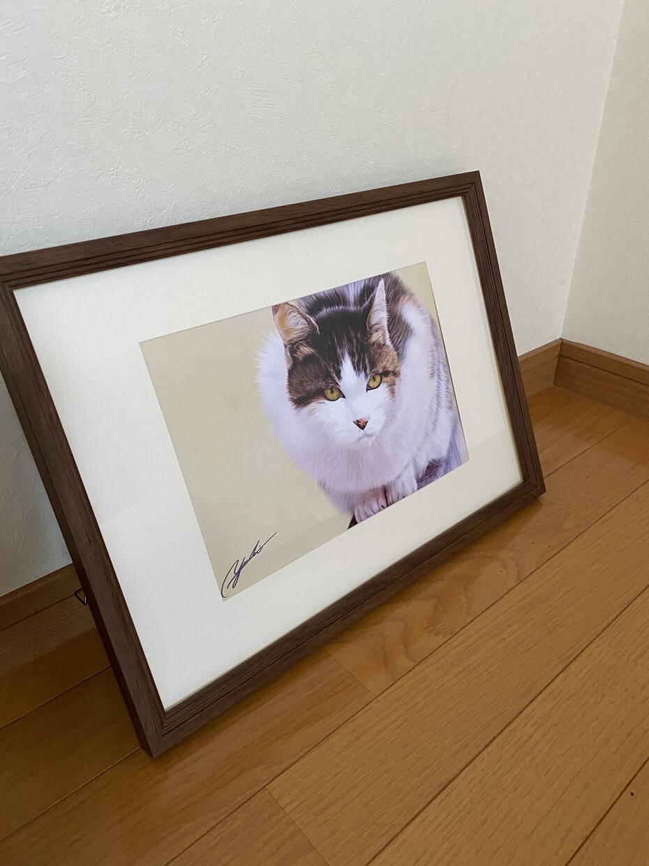 想いを乗せたイラストを描きます 飼い主さまの愛情をヒアリングし、イラストに生かします。 イメージ10