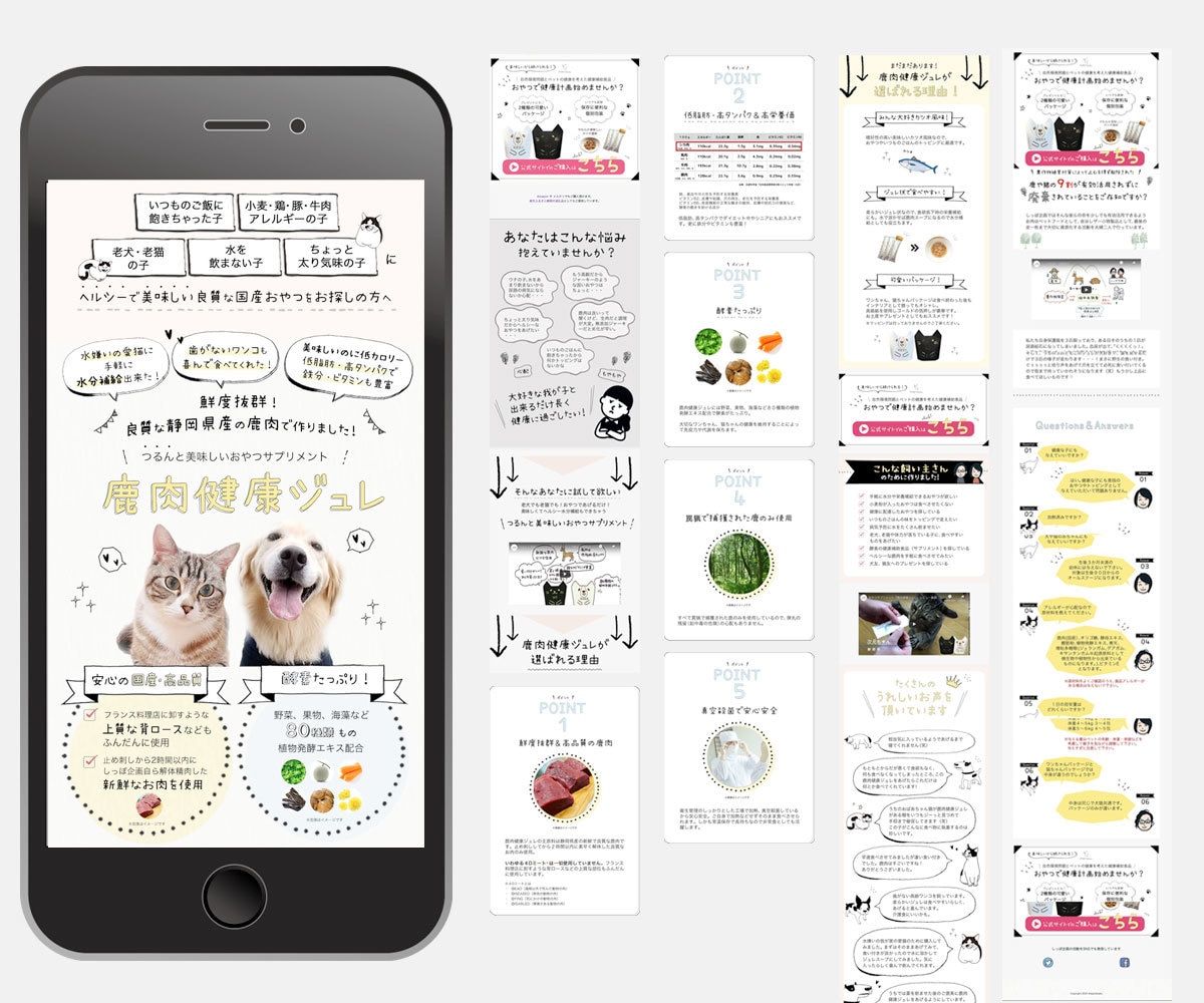 集客のサポート！伝わる本格的なLPを制作致します オリジナル感溢れる＆伝わるランディングページが必要な方へ イメージ10
