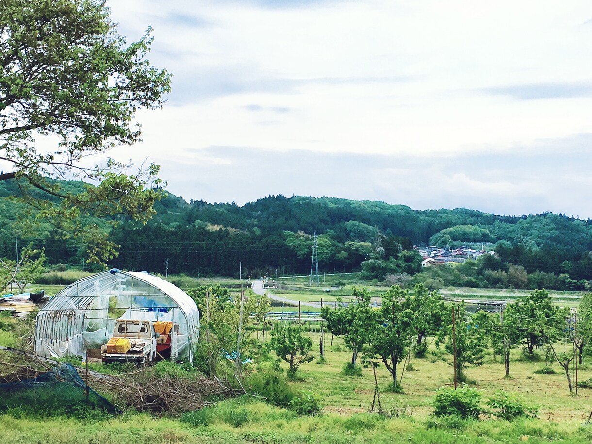 面接のコツ教えます 面接は自分を売り込むの場所ではありません。 イメージ1