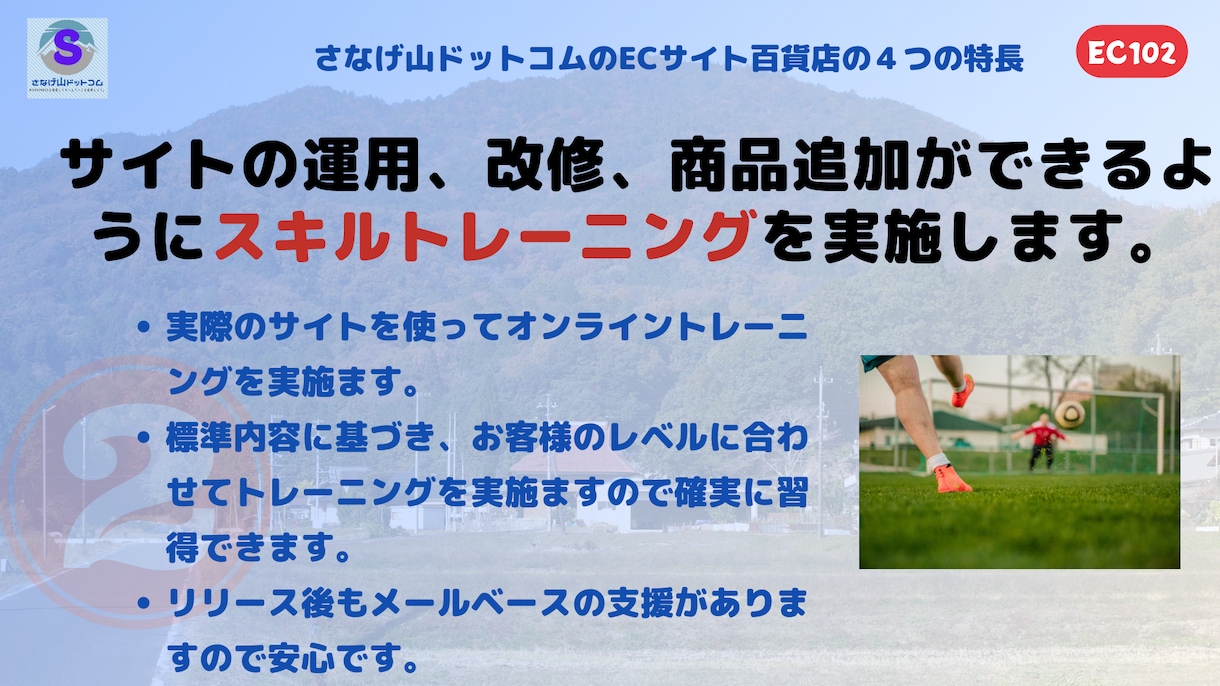 ブログを沢山掲載したショッピングサイトを構築します 独自ドメインを持った、高機能、高品質、多言語対応のECサイト イメージ4