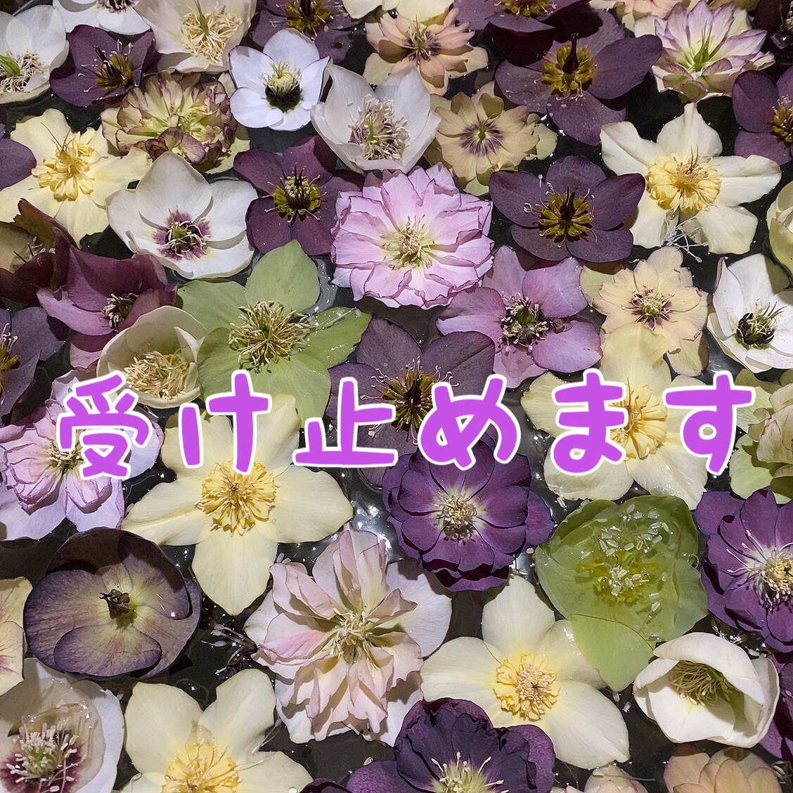 20代現役歯科衛生士が癒します お話相手にしてみませんか？耳を癒し疲れをほぐします♪ イメージ4