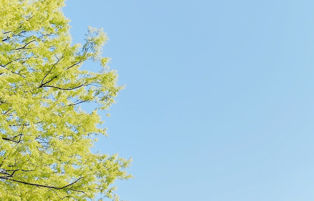 臨床心理士兼公認心理師がお話をお聞きします プロのカウンセリングを電話で気軽に体験することができます イメージ1