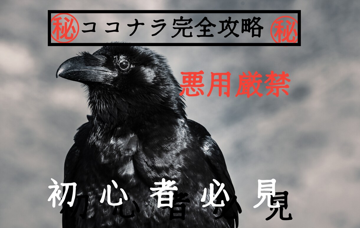 大特価⭐️ココナラ販売0から1への道のり教えます スマホで副業決定版☆プラチナランクまでの道のり攻略 イメージ1