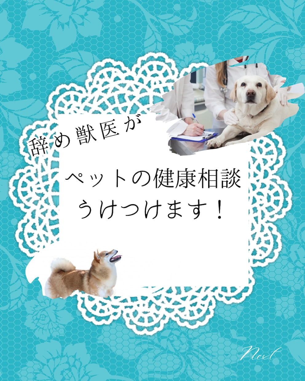 ペットの健康相談受付けます 動物病院で聞きづらいこと、聞いてみませんか？ イメージ1