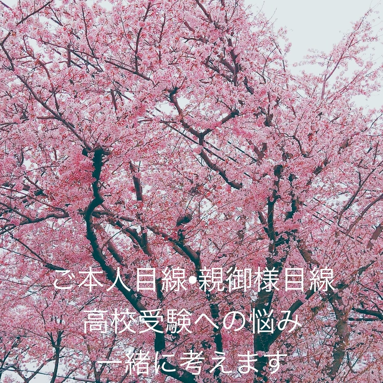 高校受験についてご相談にのります 高校受験学年になった学生様、その親御様へ イメージ1