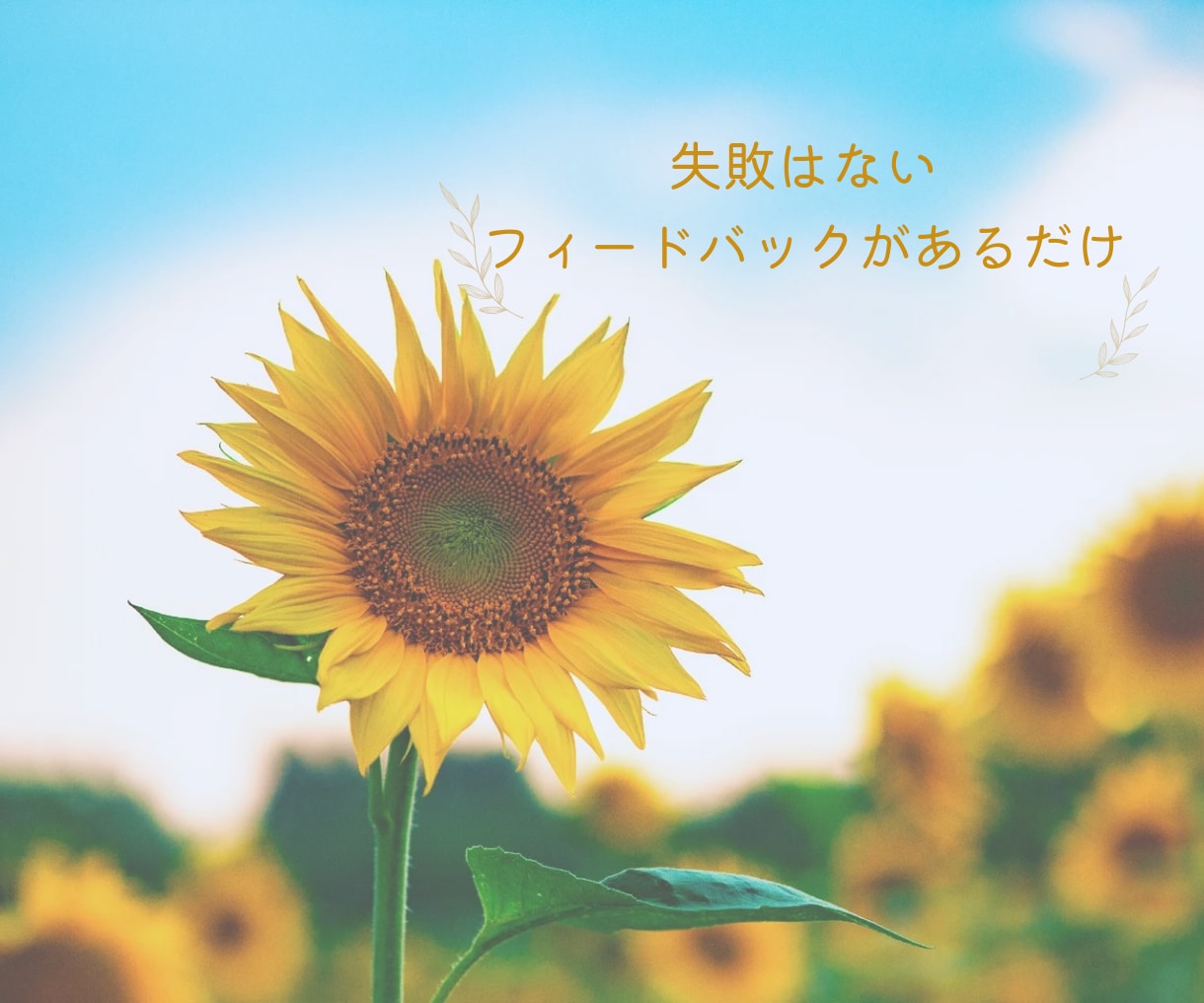 リピーター様限定♡思考の整理のお手伝いをします NLPプラクティショナー資格有/本心/潜在意識/無意識/気付 イメージ7