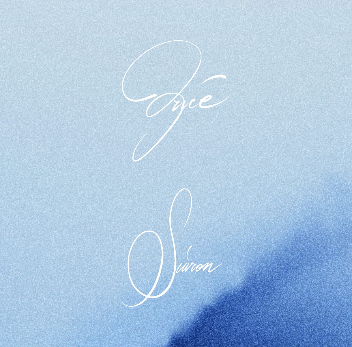 流れるようなサインをデザインします ▶︎さらりと個性溢れる手描き文字をお求めの方に イメージ1