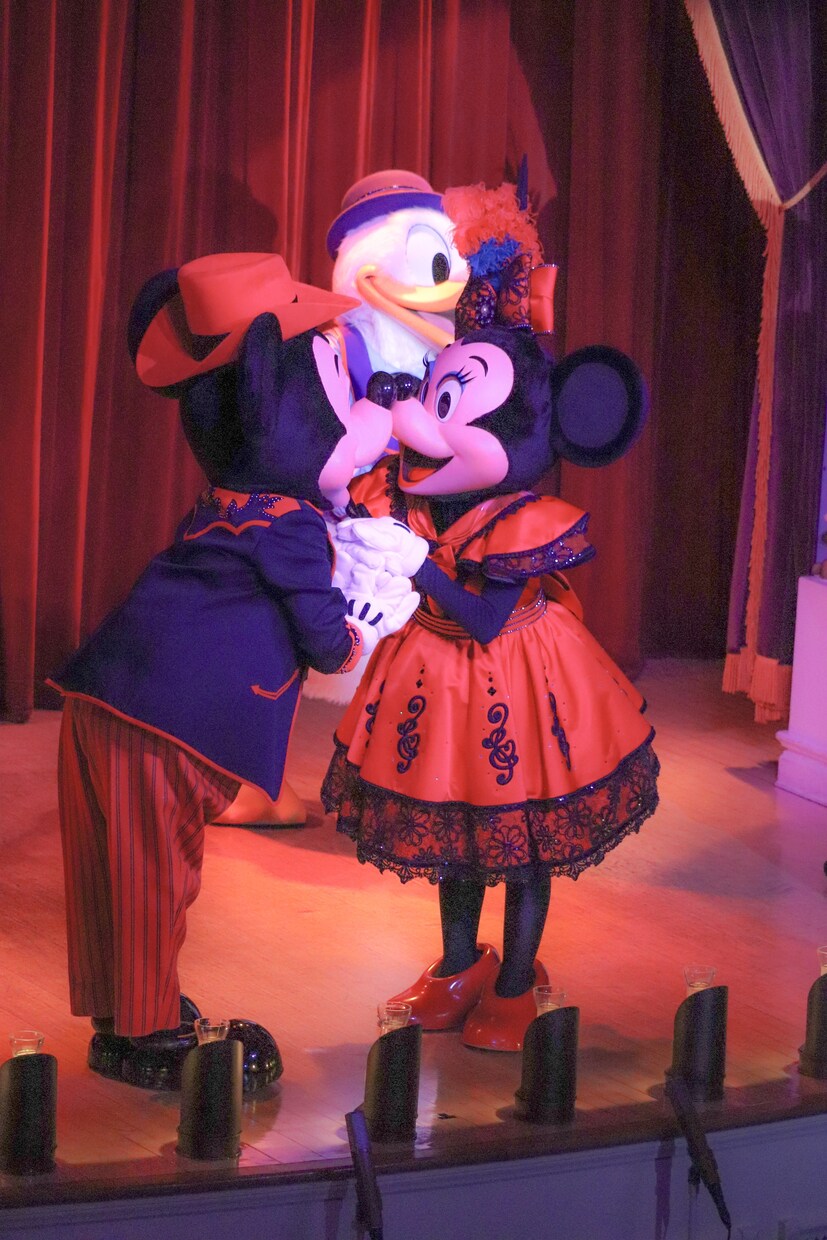 東京ディズニーリゾートでの周り方提案します 年パス保有者があなたの代わりにディズニープラン考えます！ イメージ1