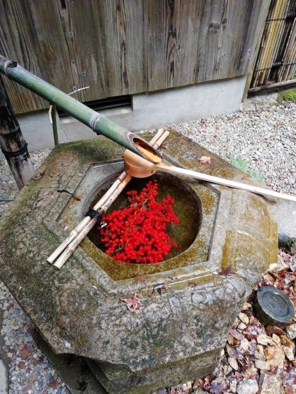 生まれ持った運の強さを鑑定します 生まれ持った運の強さを底上げしてみませんか？ イメージ1