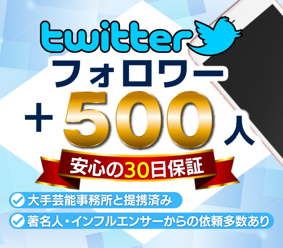 Twitter★フォロワー+500人増加します 【最高品質】保証あり｜最短即日納品｜最大10万人 イメージ1