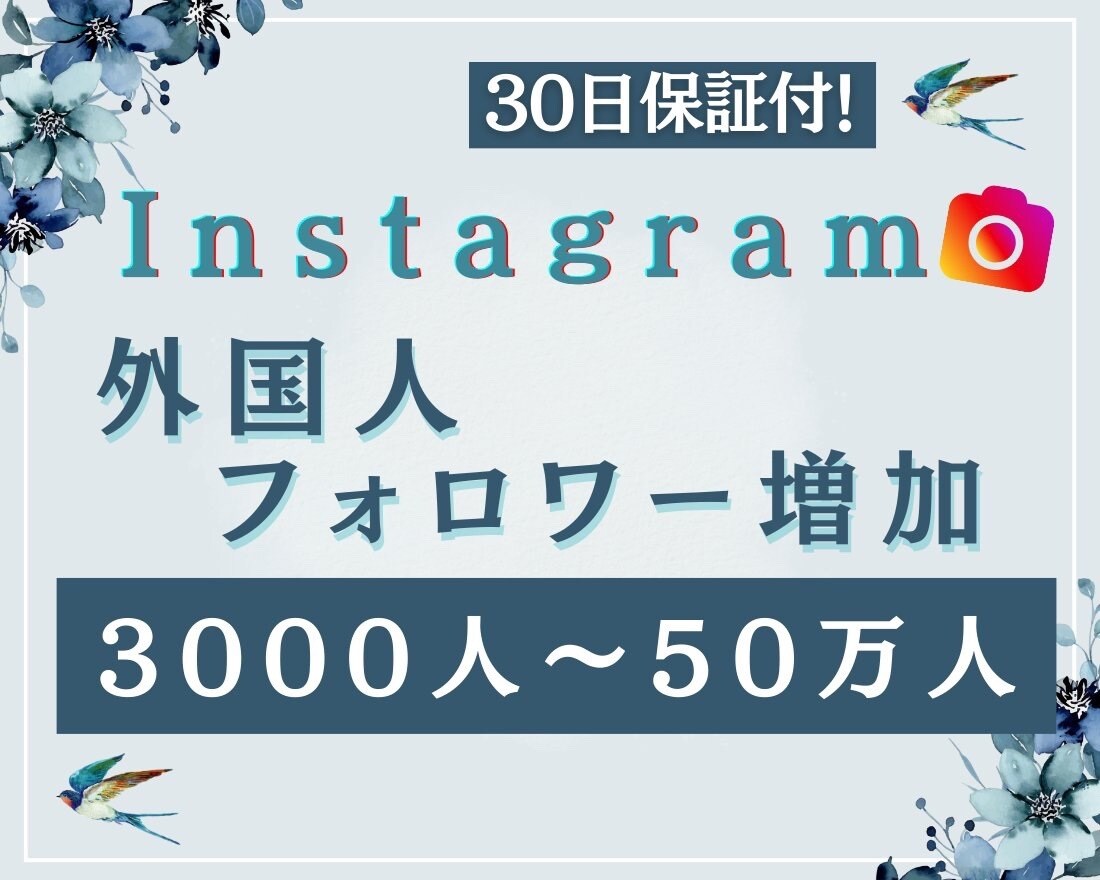 Instagramの外国人フォロワーを増加します 30日保証！複数垢に振り分け、ゆっくりフォロワー増加も対応！ イメージ1