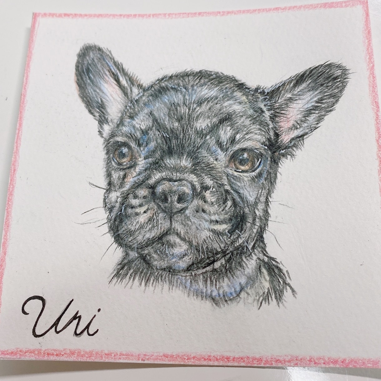 色鉛筆でペットの似顔絵を描きます フワッとしたタッチのペットの似顔絵をお求めの方へ イメージ7