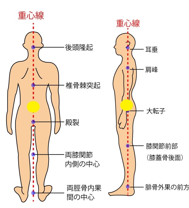 理学療法士の学生向けレポートの書き方相談にのります 臨床実習や授業でのレポート作成の相談相手になります。 イメージ6