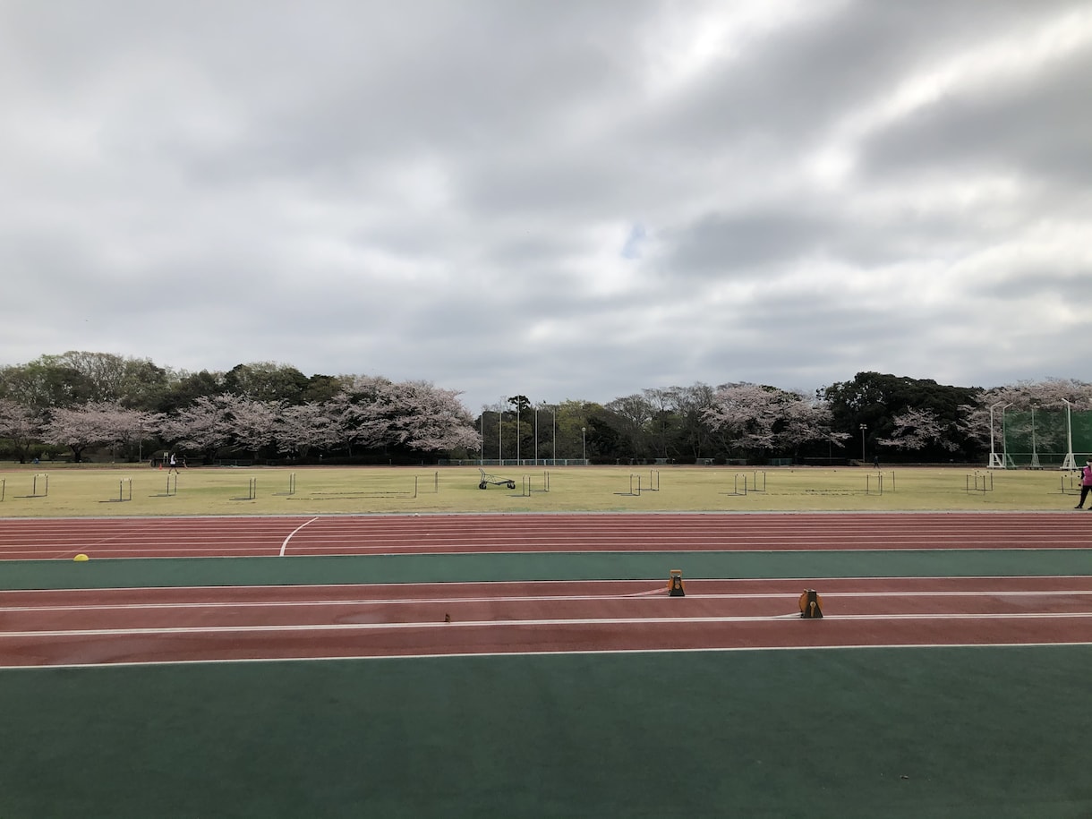 ランニングメニュー1ヶ月分作成します 箱根駅伝出場の経験を活かし個人に最適なメニューを作成します イメージ2