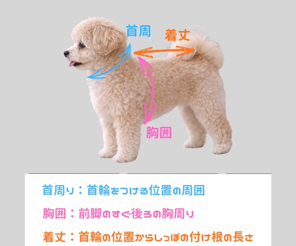 捨てられない洋服を愛犬用ロンパースへリメイクします 大好きな匂いでホッとする。思い出の服を愛犬のお気に入りに。 イメージ6