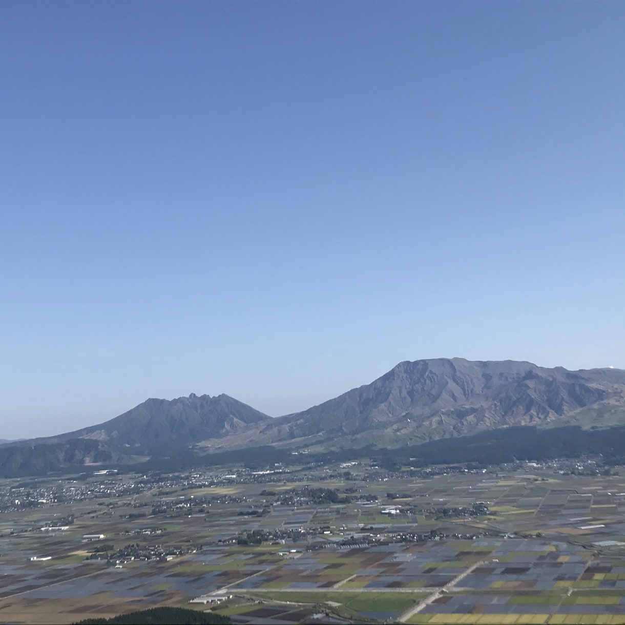 パワハラ上等！怒鳴られます 感情と暴力性のリミッターを解除せよ！ イメージ2