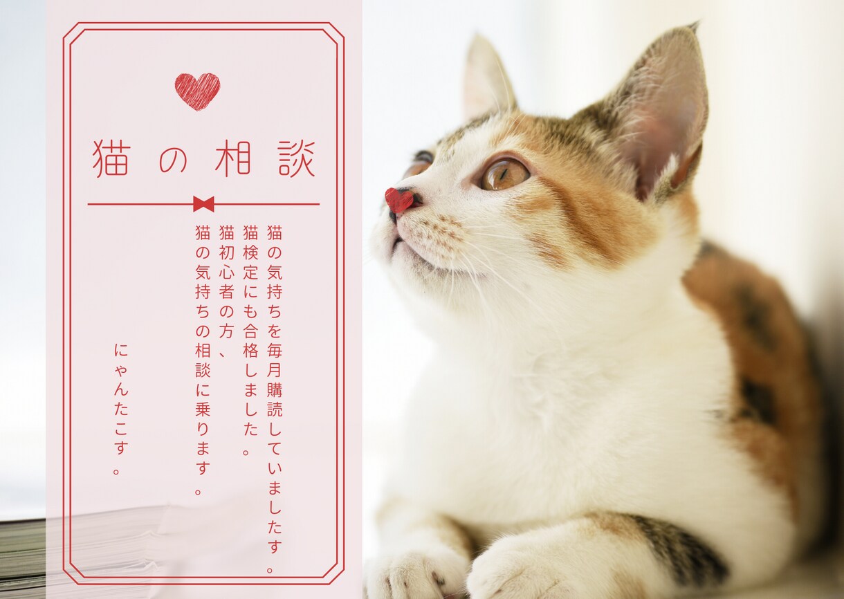 猫の気持ち聞きします 猫検定に合格した私が猫の相談にに乗ります♡ イメージ1