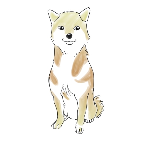 ペット　動物　水彩系　SNSなどで使うプロフィール画像の制作します イメージ3